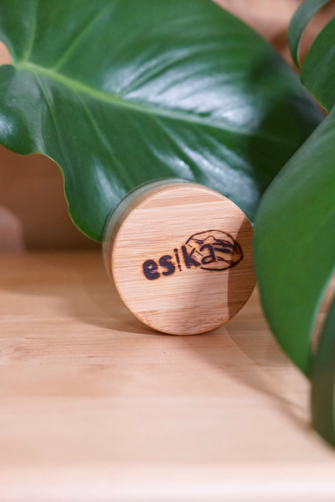 Vitellaria Nilotica Shea Butter